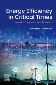 Energy Efficiency in Critical Times