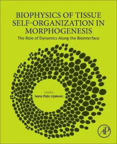 Biophysics of Tissue Self-Organization in Morphoge...