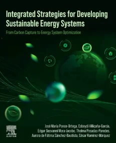 Integrated Strategies for Developing Sustainable E...
