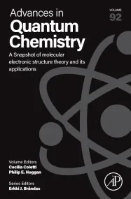 A Snapshot of Molecular Electronic Structure Theor...