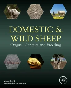 Domestic and Wild Sheep