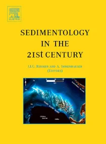 Sedimentology in the 21st Century