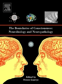 The Boundaries of Consciousness: Neurobiology and ...