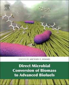 Direct Microbial Conversion of Biomass to Advanced...