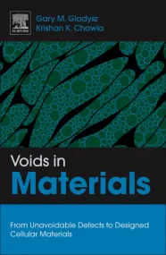 Voids in Materials