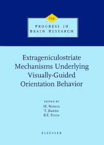 Extrageniculostriate Mechanisms Underlying Visuall...