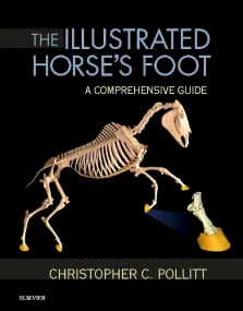 The Illustrated Horse’s Foot: A comprehensive guid...