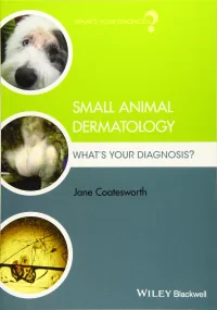 Small Animal Dermatology: What′s Your Diagnosis?