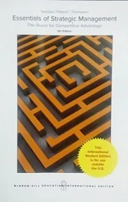Essentials of Strategic Management: The Quest for ...