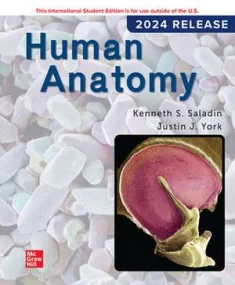 Human Anatomy 