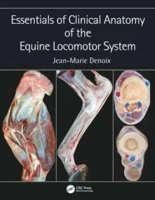 Essentials of Clinical Anatomy of the Equine Locom...
