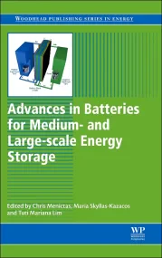 Advances in Batteries for Medium and Large-Scale E...