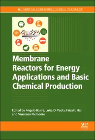 Membrane Reactors for Energy Applications and Basi...