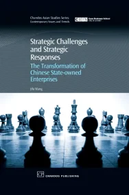 Strategic Challenges and Strategic Responses