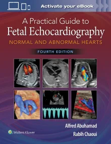 A Practical Guide to Fetal Echocardiography: Norma...