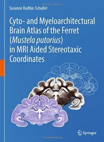Cyto- and Myeloarchitectural Brain Atlas of the Fe...