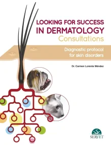 Looking for Success in Dermatology Consultations