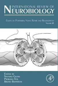 Essays on Peripheral Nerve Repair and Regeneration