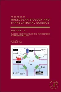 Glucose Homeostatis and the Pathogenesis of Diabet...