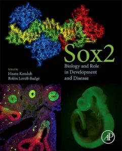 Sox2