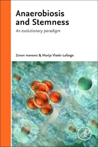 Anaerobiosis and Stemness