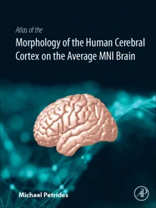 Atlas of the Morphology of the Human Cerebral Cort...