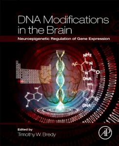 DNA Modifications in the Brain