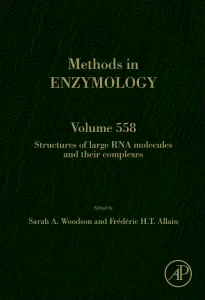 Structures of Large RNA Molecules and Their Comple...
