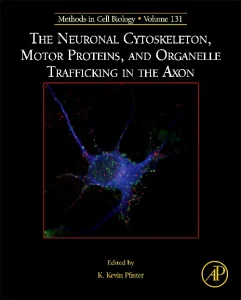 The Neuronal Cytoskeleton, Motor Proteins, and Org...