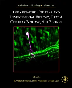 The Zebrafish: Cellular and Developmental Biology,...