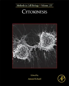 Cytokinesis
