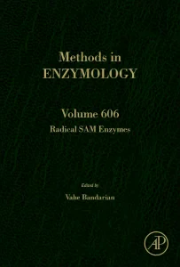 Radical SAM Enzymes