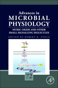 Nitric Oxide and Other Small Signalling Molecules