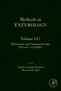 Metabolons and Supramolecular Enzyme Assemblies