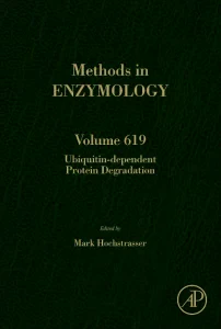 Ubiquitin-dependent Protein Degradation