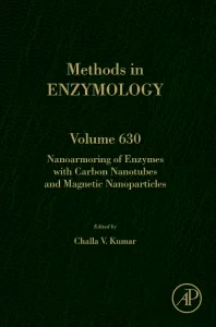 Nanoarmoring of Enzymes with Carbon Nanotubes and ...