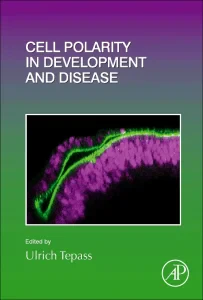 Cell Polarity in Development and Disease