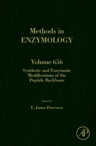 Synthetic and Enzymatic Modifications of the Pepti...