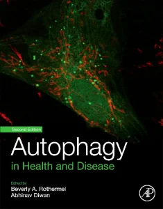 Autophagy in Health and Disease