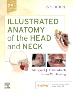 Illustrated Anatomy of the Head and Neck