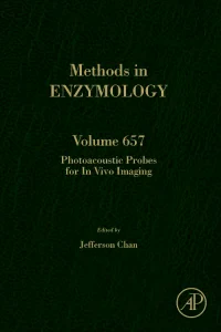 Photoacoustic Probes for In Vivo Imaging