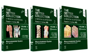 The Netter Collection of Medical Illustrations: Mu...