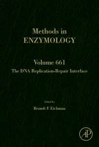 The DNA Replication-Repair Interface