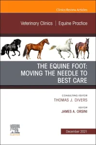 The Equine Foot: Moving the Needle to Best Care, A...