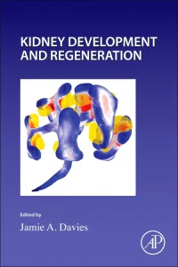 Kidney Development and Regeneration