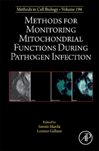 Methods for Monitoring Mitochondrial Functions Dur...