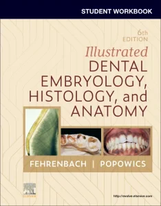 Student Workbook for Illustrated Dental Embryology...