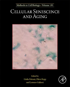 Cellular Senescence and Aging