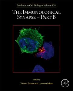The Immunological Synapse - Part B