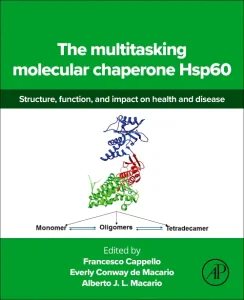 The multitasking molecular chaperone Hsp60